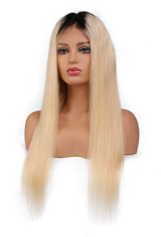 #613 1b Ombre Straight Lace Front Wig