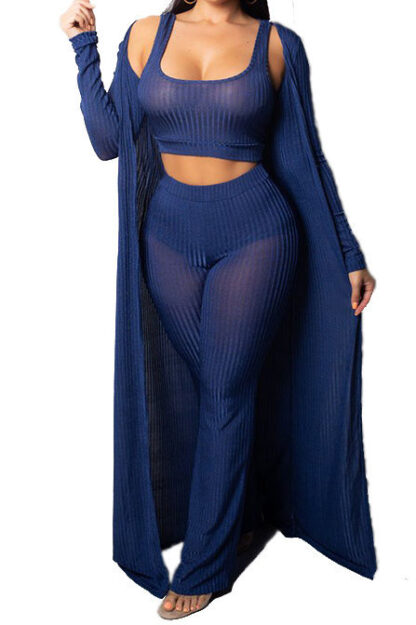 Blue Casual 2 Piece Set