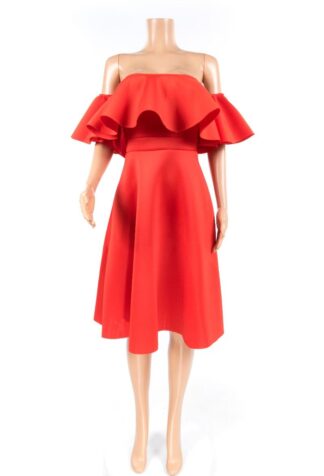 Elegant Ruffled Dress