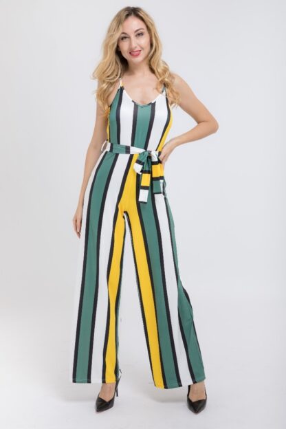V Neck Stretchy Jumpsuit
