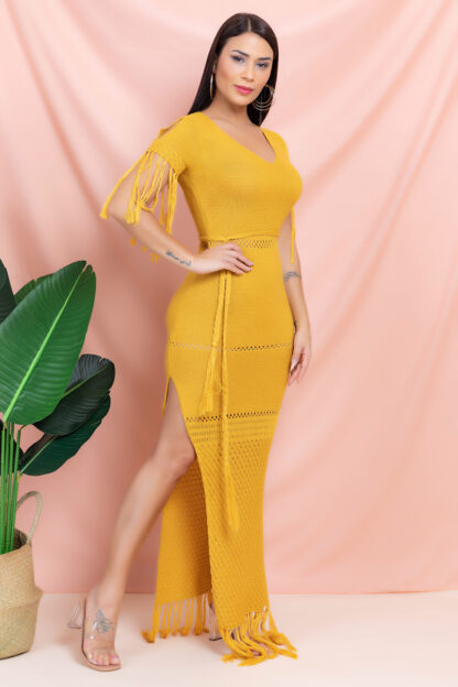 Tashoy Crochet Tassel Dress - Image 4