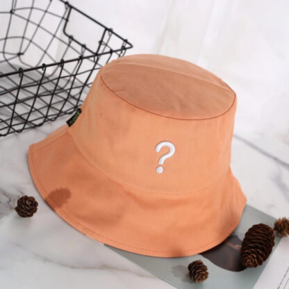 Begs To Question Brim Stylish Hat - Image 2