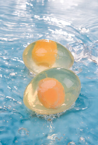Janet Egg Soap